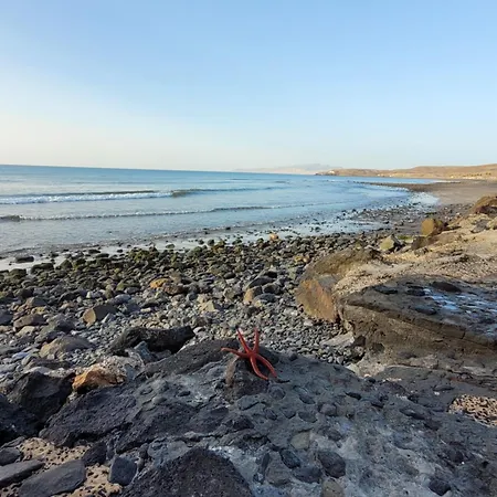 Casa Noda טרחלחו